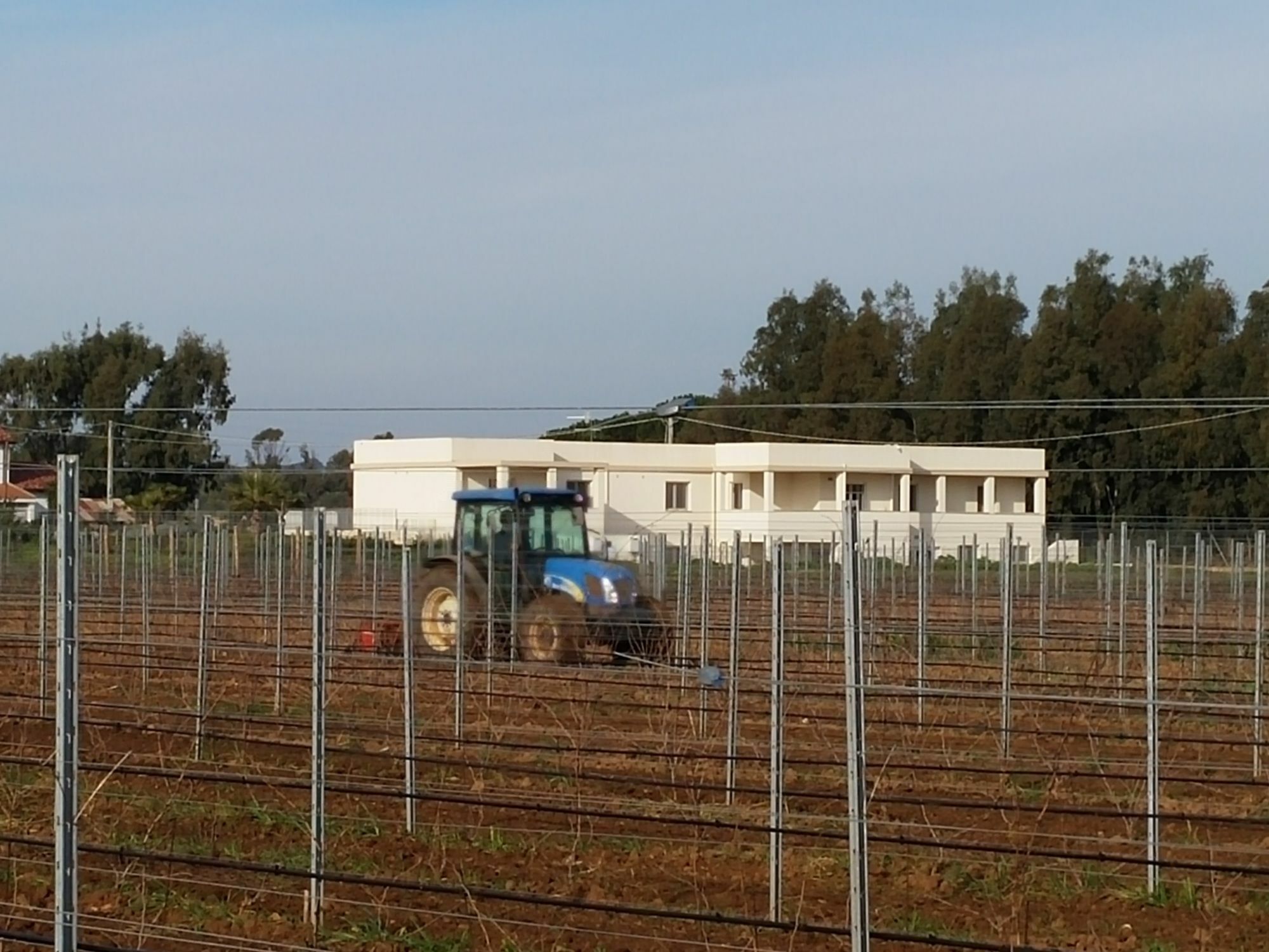 Villa Maris Alguer Exterior foto